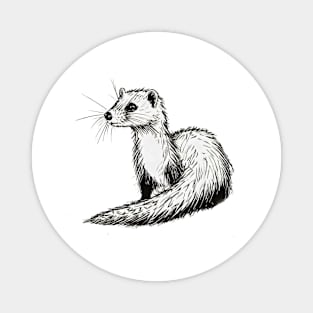 Ferret drawing Magnet